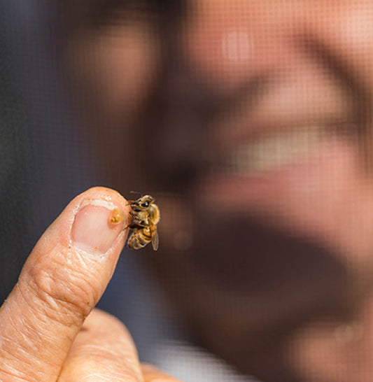 Alan with a Bee on his finger