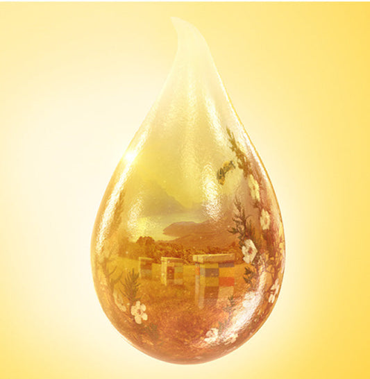 Honey craft in a droplet of honey