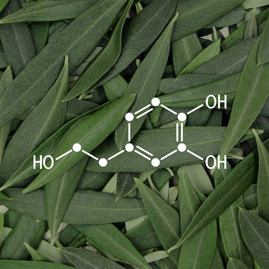 Hydroxytyrosol in Olive Leaf Extrac