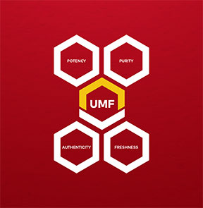 UMF 4-Factor Quality Assurance