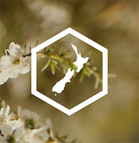 Why New Zealand Mānuka honey