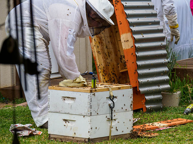 swarm rescue
