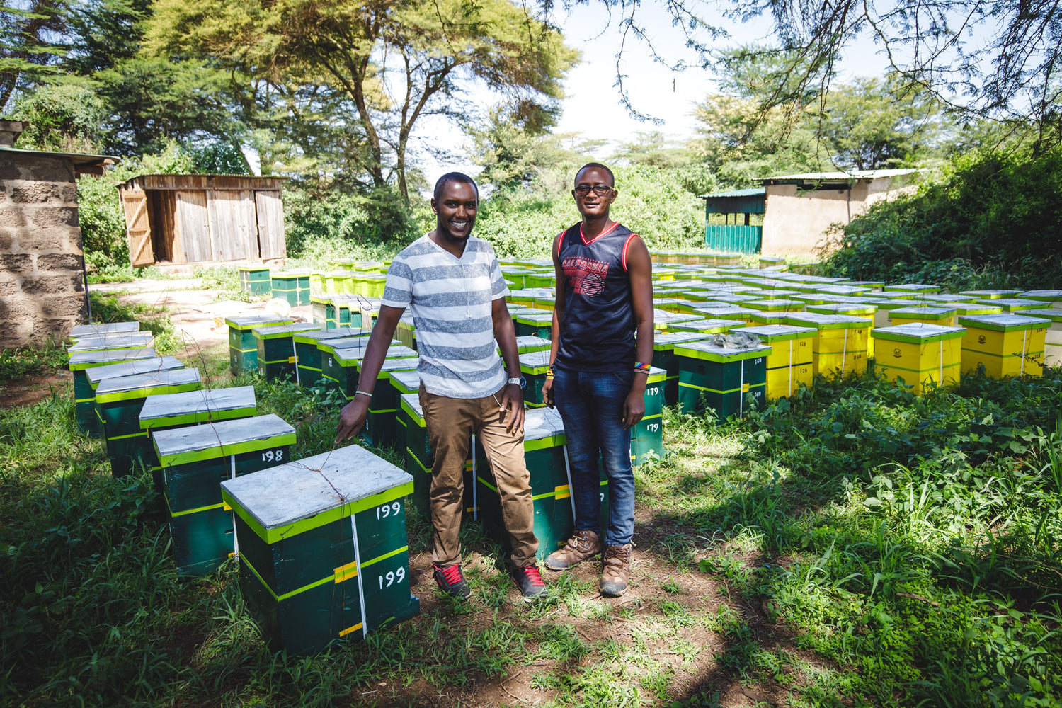 african beekeepers with hive to be deployed on the corridor