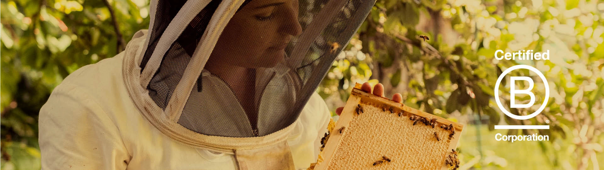 beekeeper looking at hive with b corp logo over the time