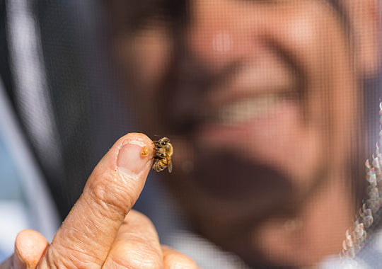 beekeeper