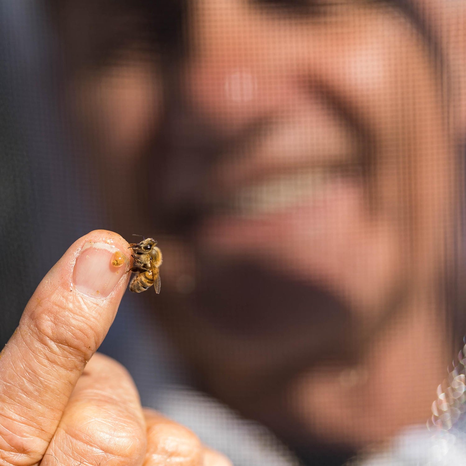 Alan with a bee on his finger