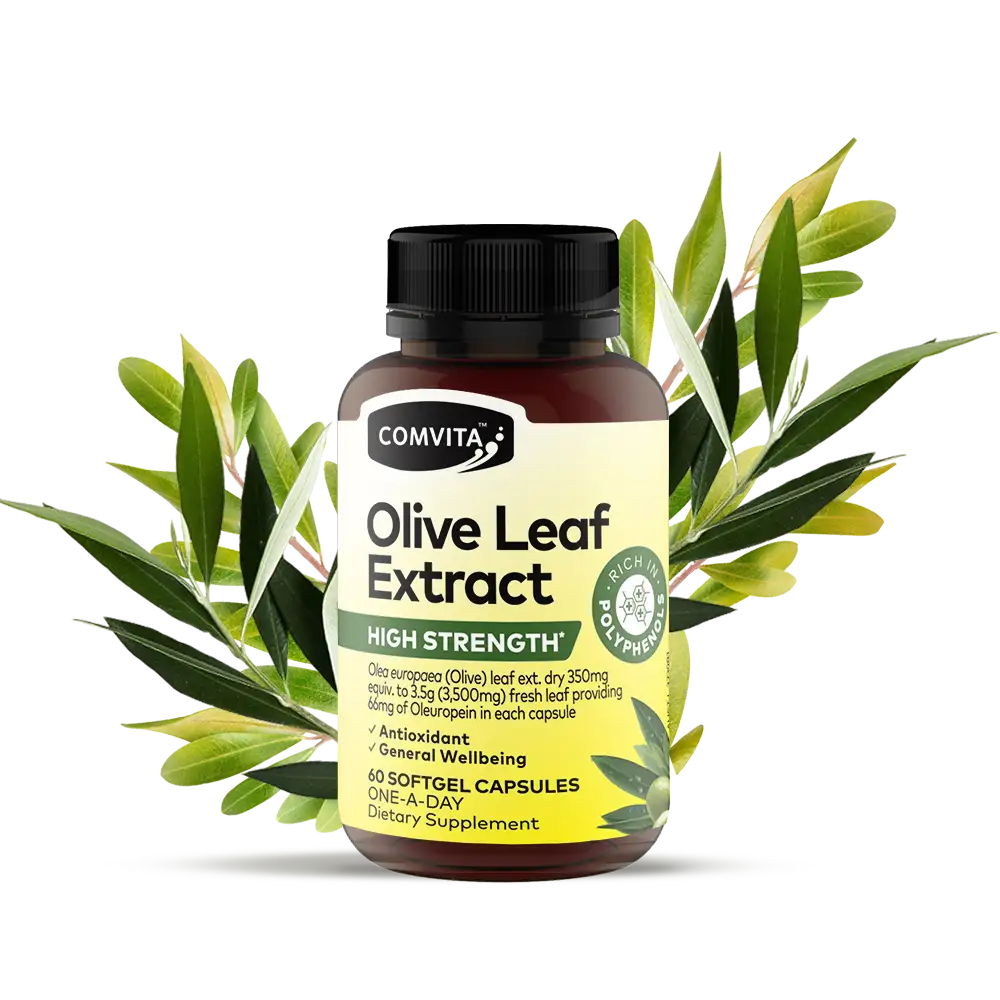 Olive Leaf Extract High Strength Capsules