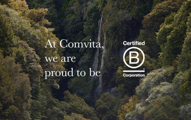 forest with B corp logo over the top