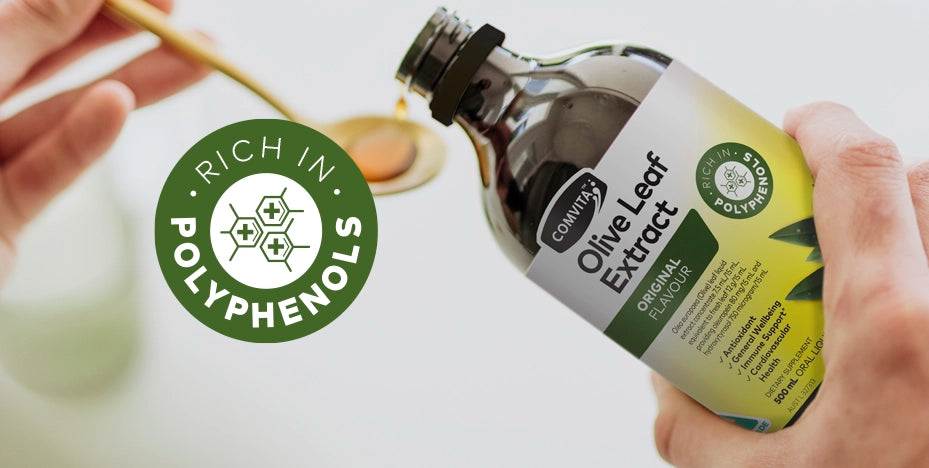 olive leaf extract original liquid