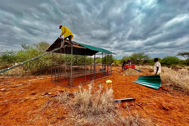 Building a cage to keep hive safe from other animals