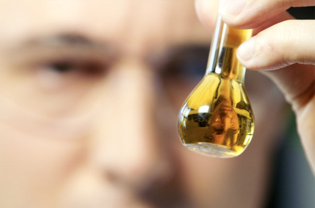 Scientist inspecting propolis