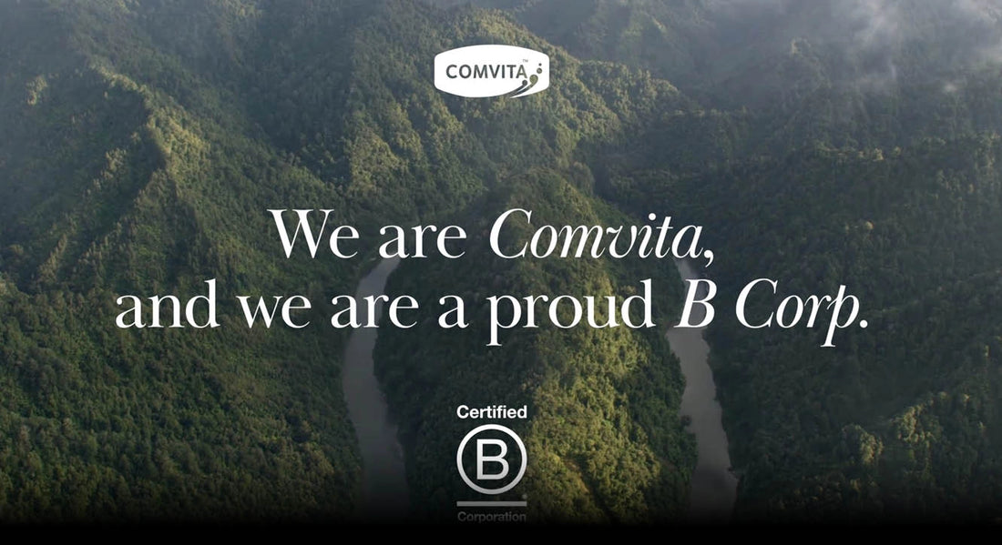 Learn about our journey to become b corp certified