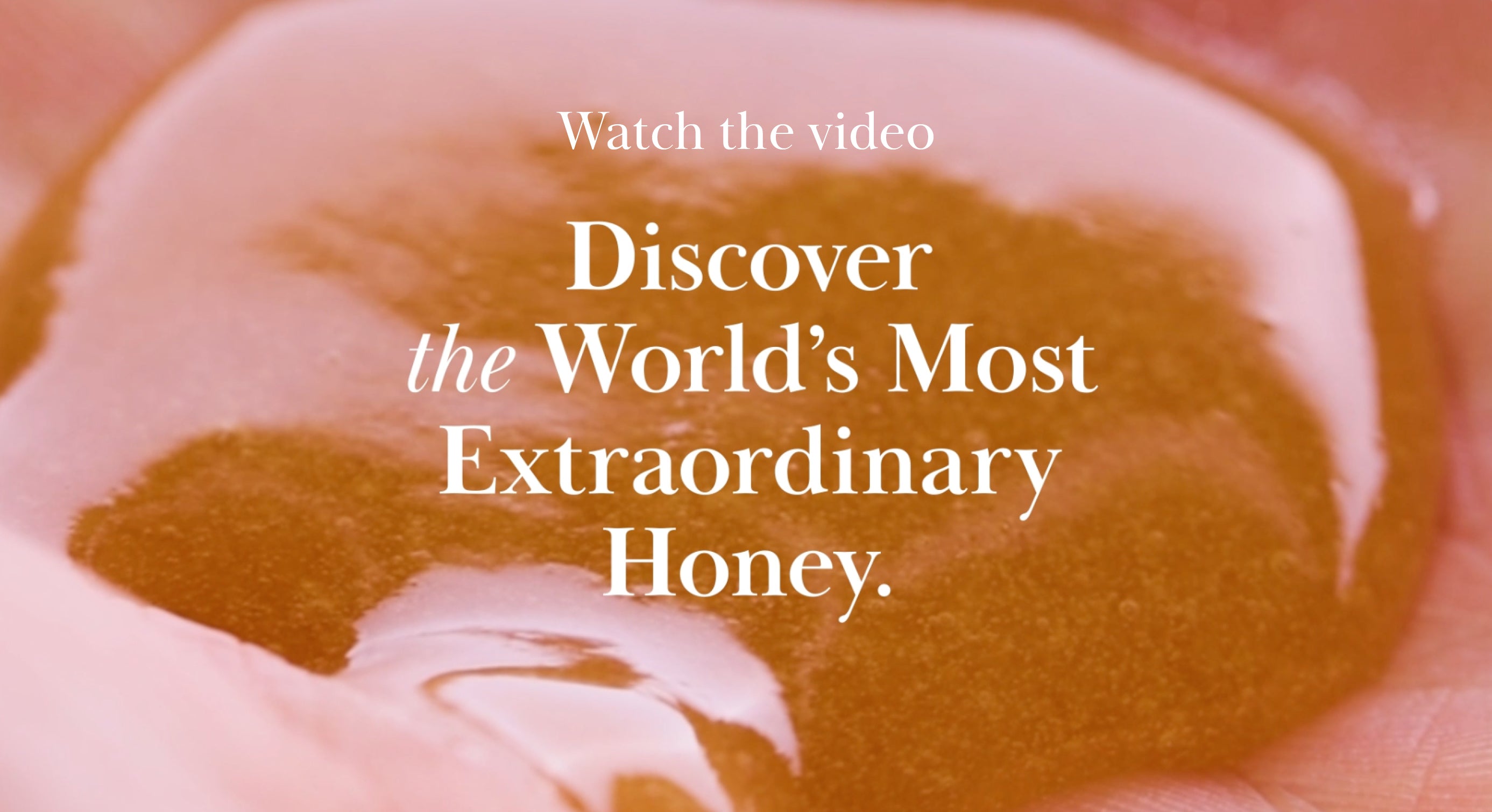 Load video: research video