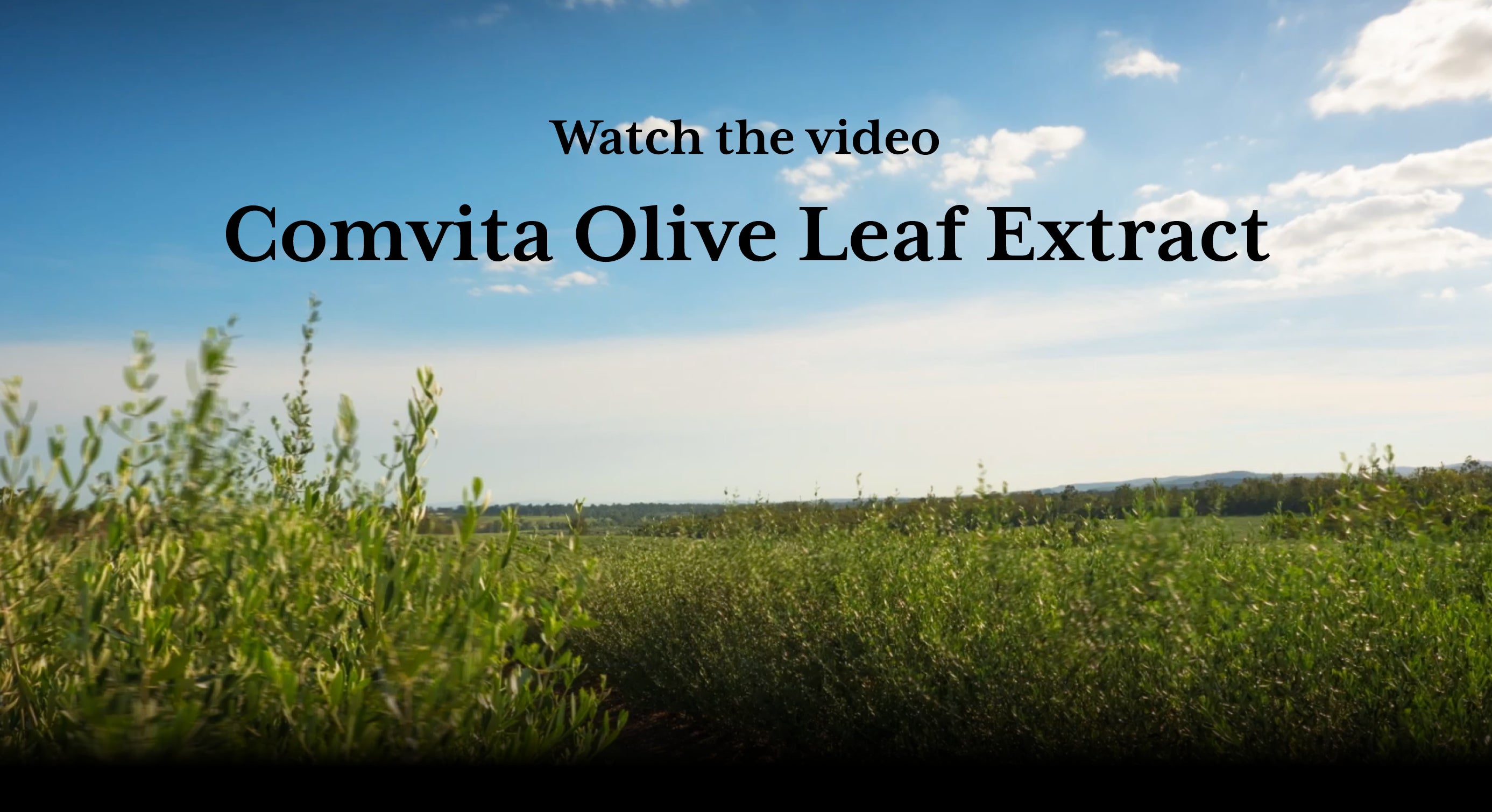 Load video: Video about fresh picked and our process to harvest 