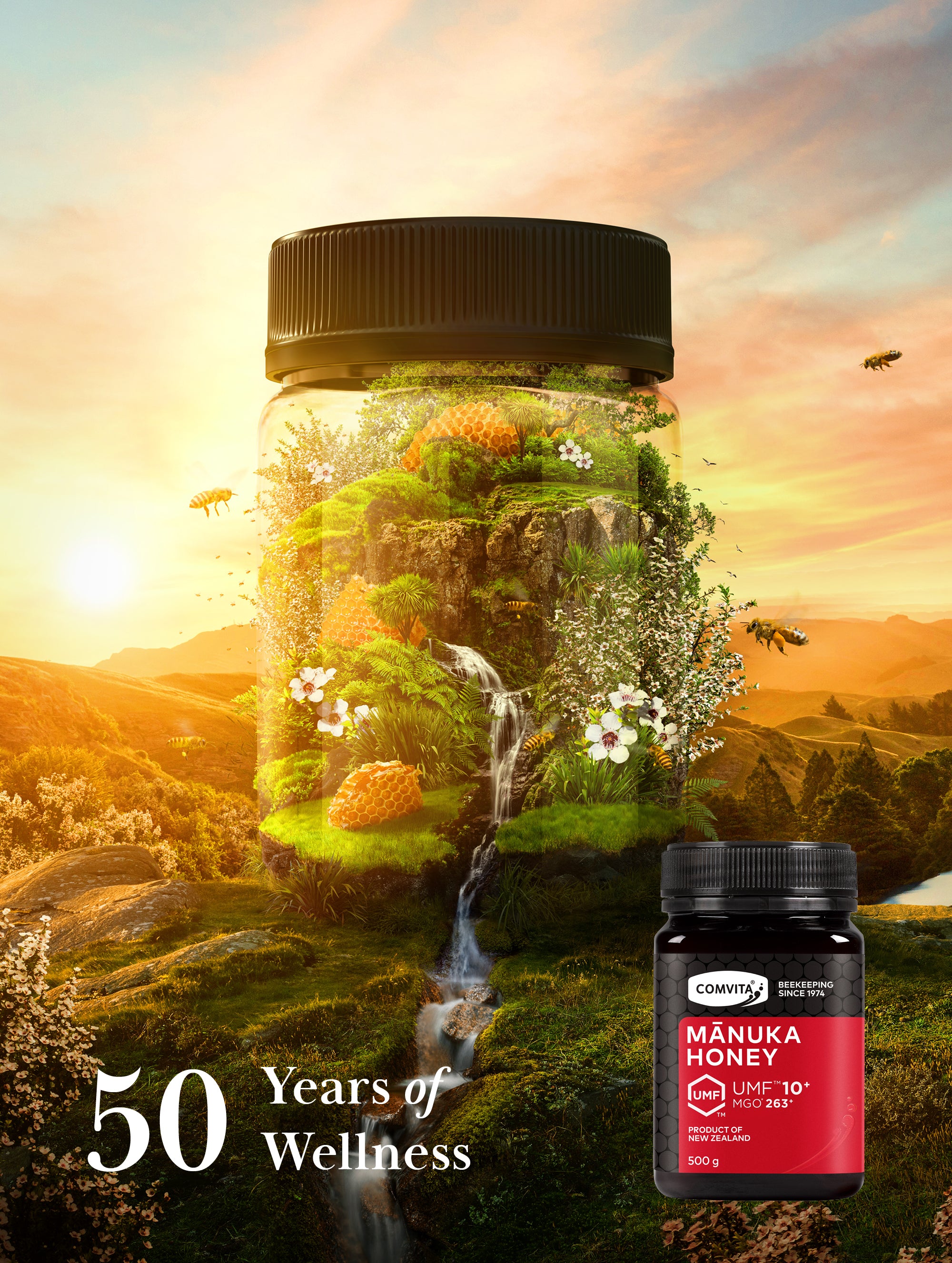 50 years of wellness