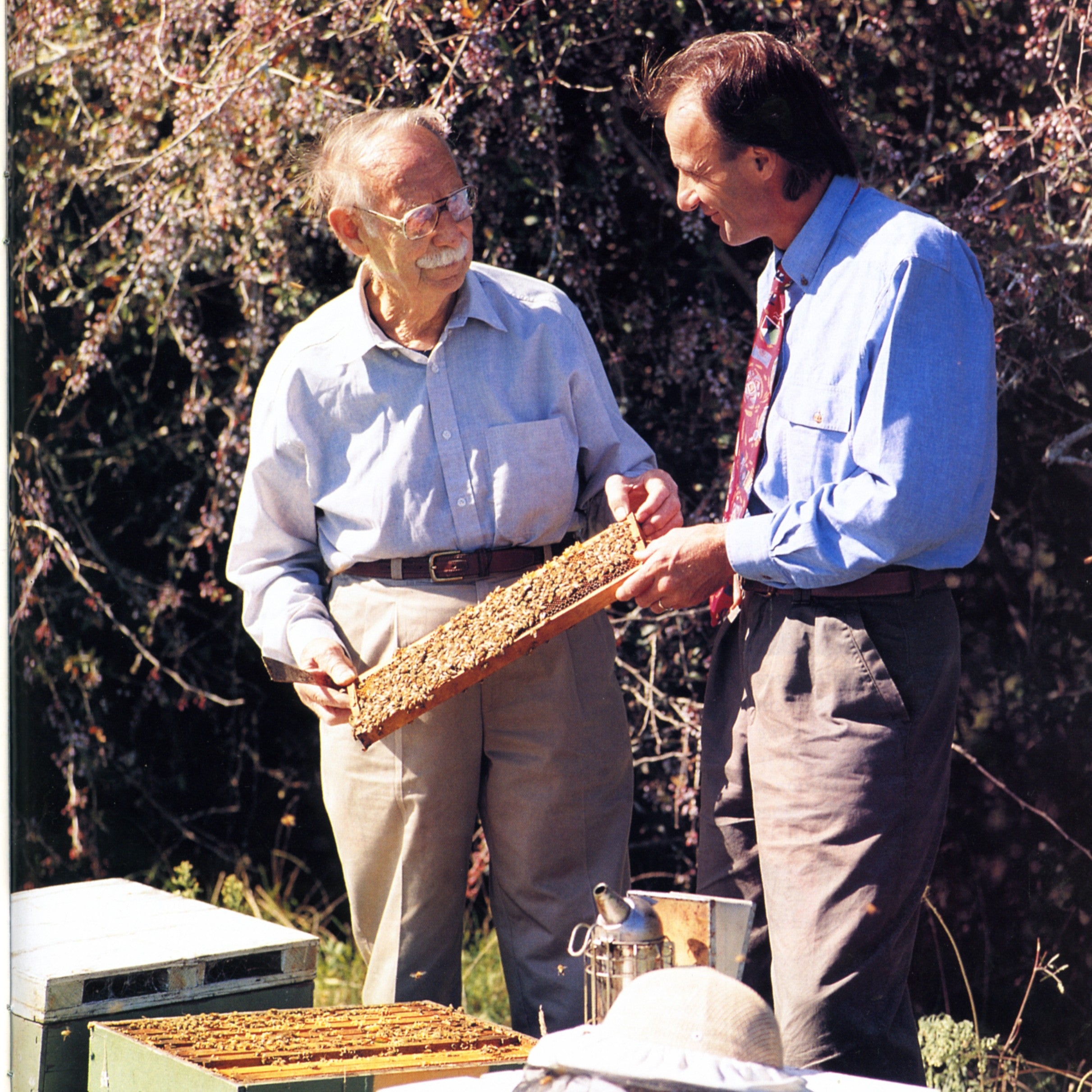 Claude and Alan sharing a moment in awe of the bees and the hive
