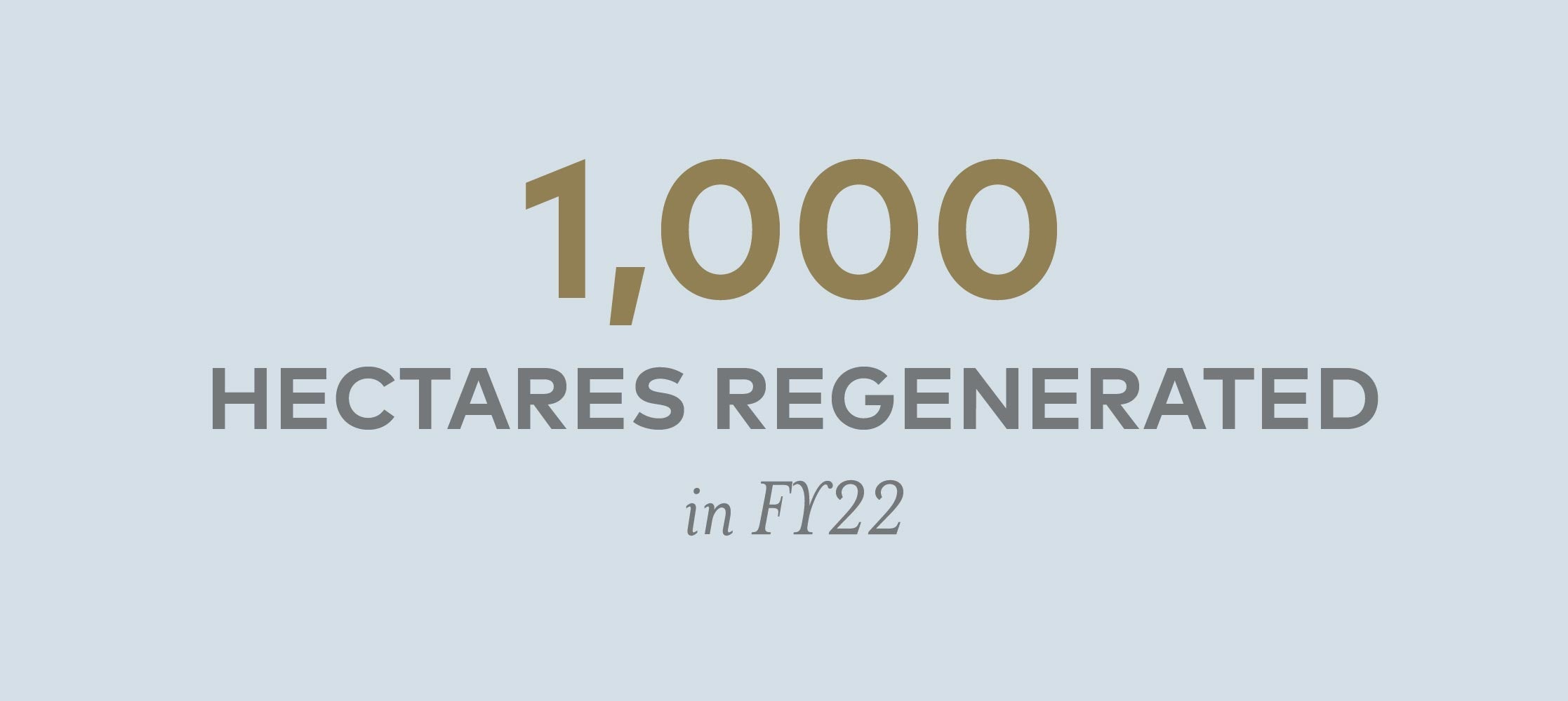100 hectares regenerated