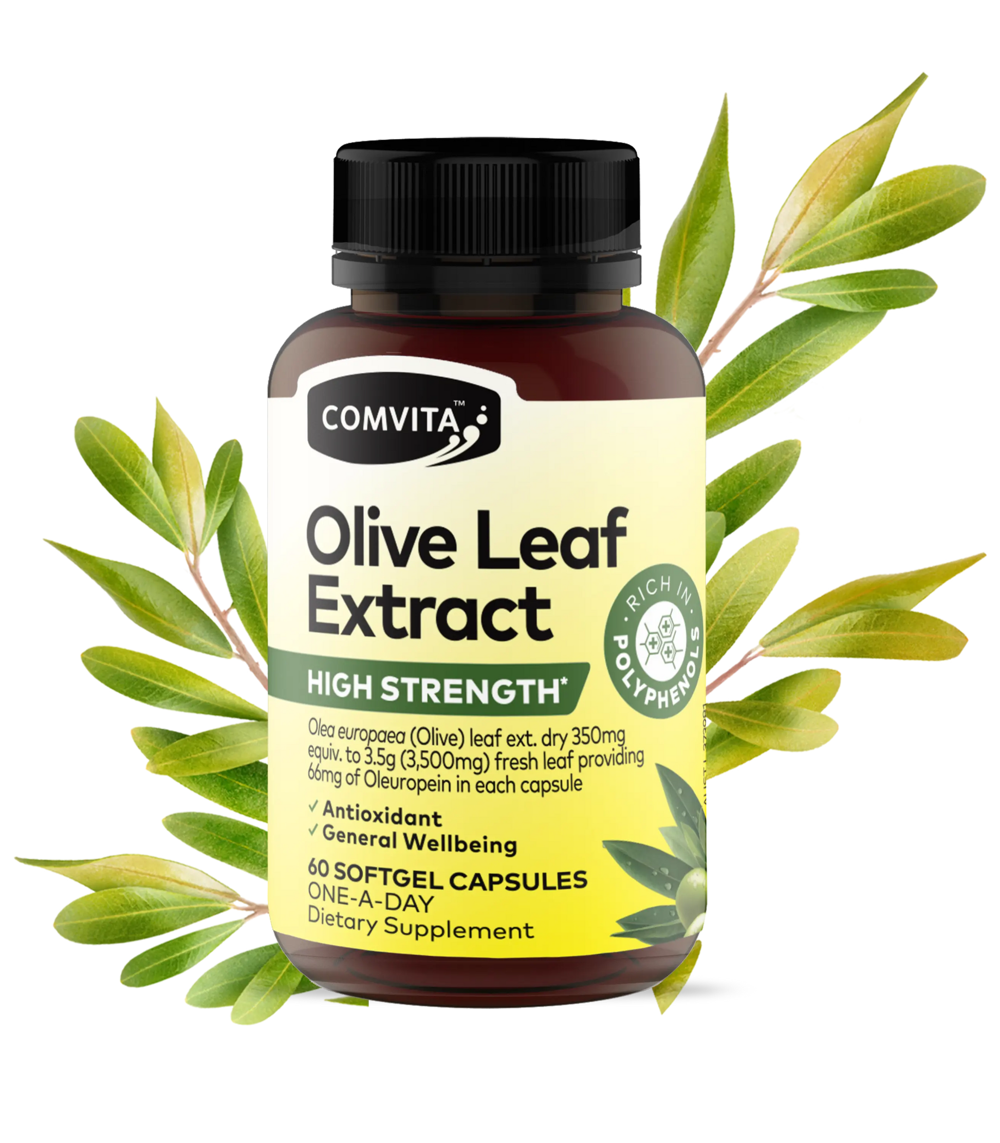Immune Support High Strength Olive Leaf Extract Capsules