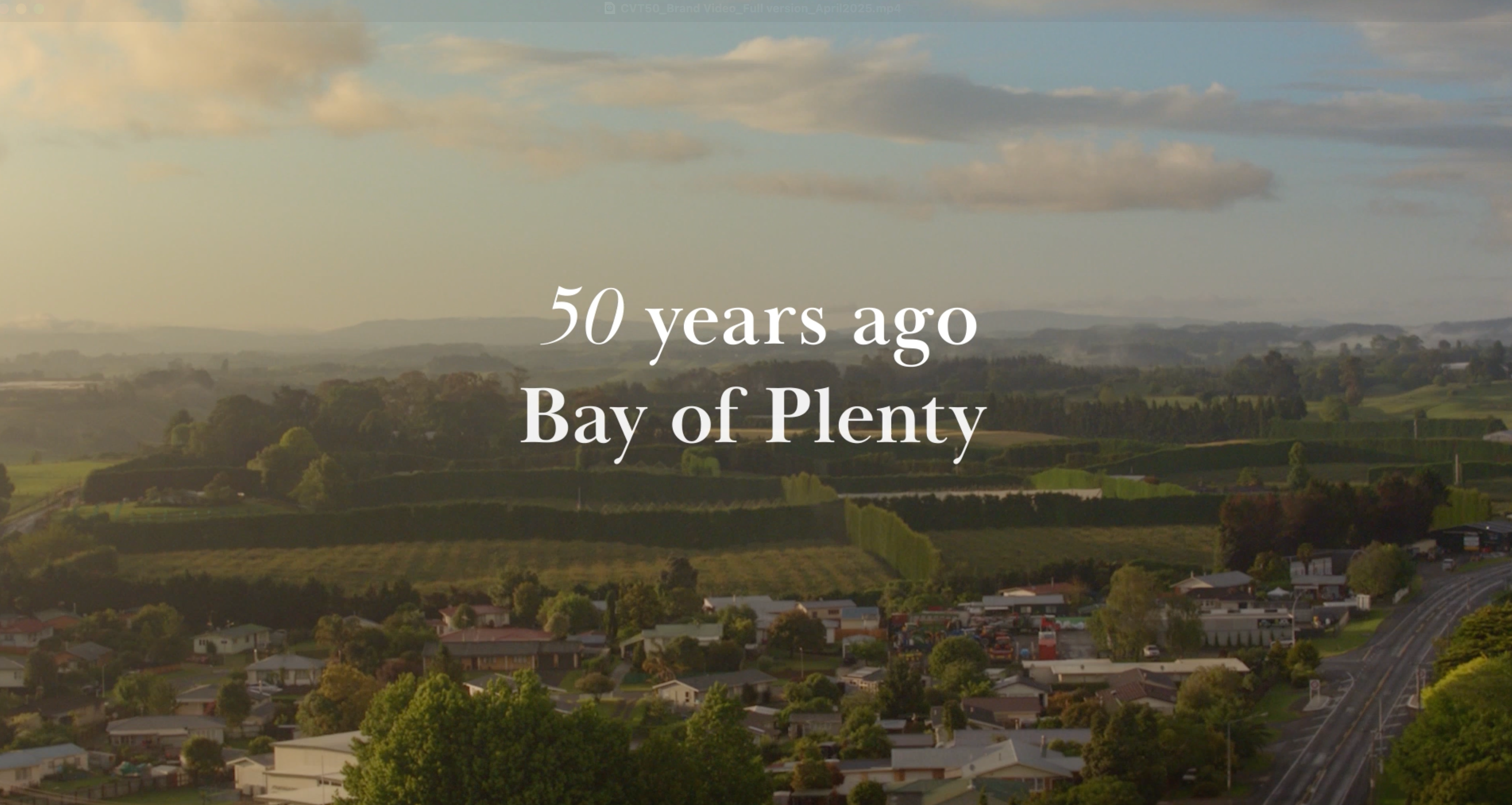 Load video: 50 years with the bees video